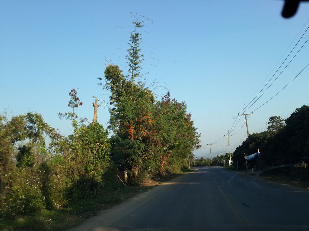 ภาพถนนตรงที่ มอกม่วน ตั้งอยู่ ถ่ายโดย mishari พ.ศ. 2558 (2015) · A street-level view of where มอกม่วน · Mokmuan stands, by mishari in 2558 (2015)