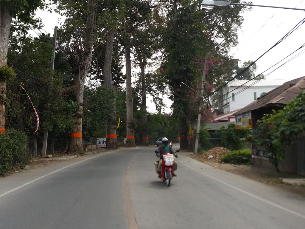 ภาพถนนตรงที่ สถานีสเต็กส์เฮ้าส์ แอนด์ โฮงหมูสารภี ตั้งอยู่ ถ่ายโดย jrcarlsen พ.ศ. 2557 (2014) · A street-level view of where สถานีสเต็กส์เฮ้าส์ แอนด์ โฮงหมูสารภี · Sathani Satek House & Hongmusanphi stands, by jrcarlsen in 2557 (2014)