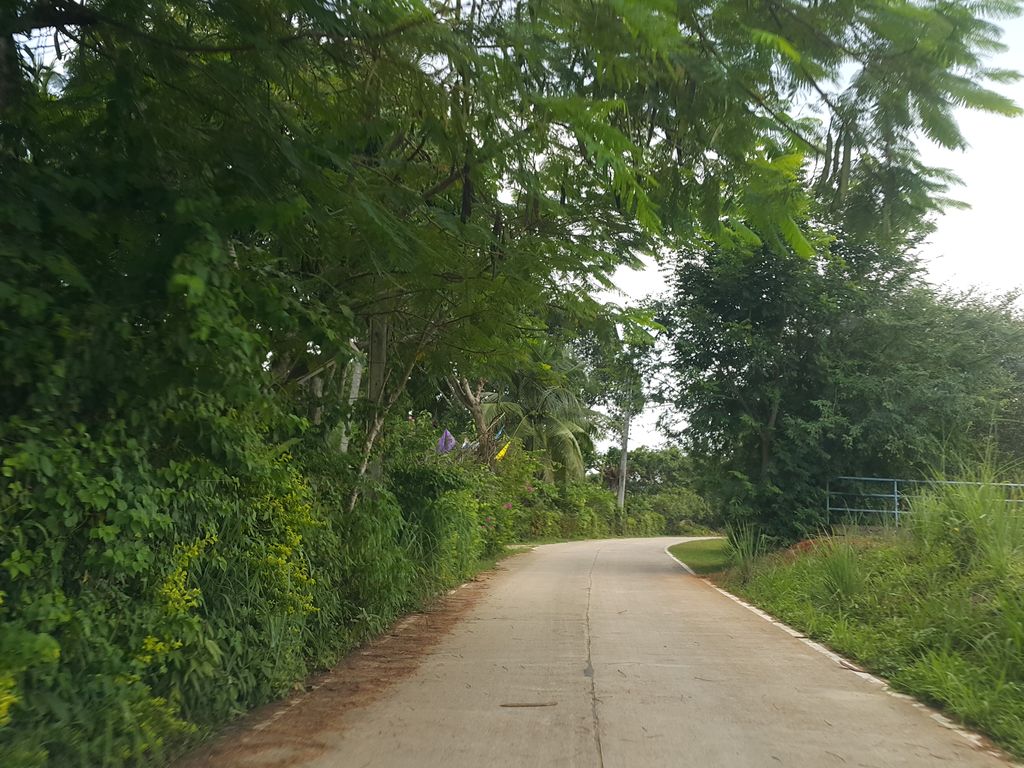ภาพถนนตรงที่ Khum Lanna ตั้งอยู่ ถ่ายโดย jrcarlsen พ.ศ. 2558 (2015) · A street-level view of where Khum Lanna stands, by jrcarlsen in 2558 (2015)