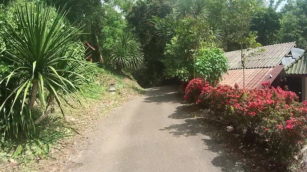 ภาพถนนตรงที่ บ้านสวนแก้วสาฟาร์ม ตั้งอยู่ ถ่ายโดย julcnx พ.ศ. 2566 (2023) · A street-level view of where บ้านสวนแก้วสาฟาร์ม · Ban Suan Kaeo Sa Farm stands, by julcnx in 2566 (2023)