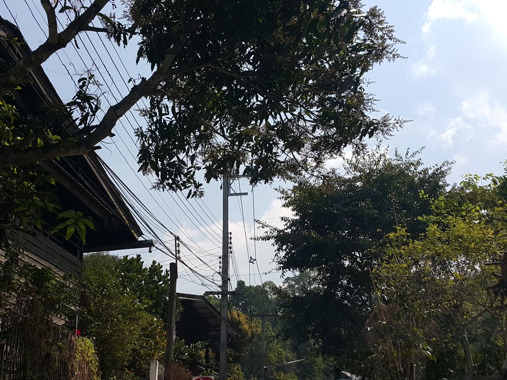 ภาพถนนตรงที่ บ้านพนิดา บ้านพัก แม่กำปอง ตั้งอยู่ ถ่ายโดย jrcarlsen พ.ศ. 2559 (2016) · A street-level view of where บ้านพนิดา บ้านพัก แม่กำปอง · Ban Phanida Ban Phak Mae Kam Pong stands, by jrcarlsen in 2559 (2016)
