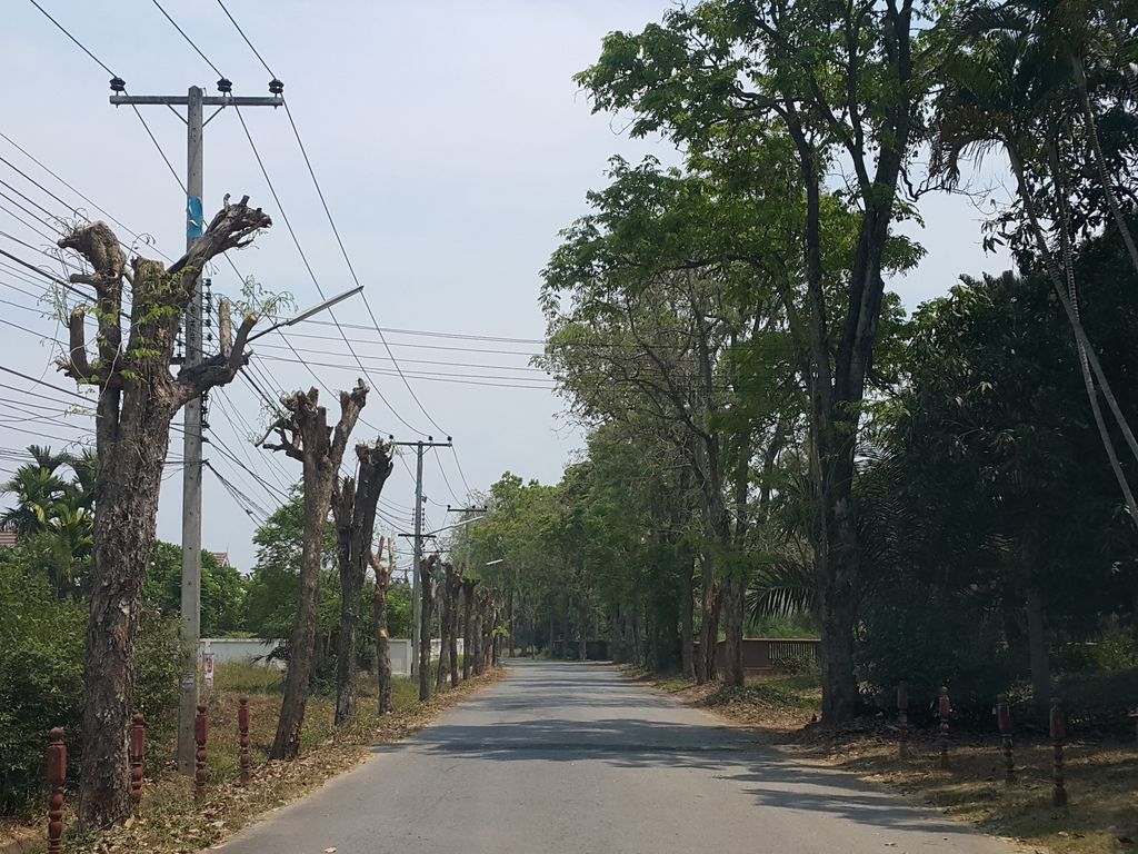 ภาพถนนตรงที่ Shiramizu Syuyoukai Chiang Mai ตั้งอยู่ ถ่ายโดย jrcarlsen พ.ศ. 2559 (2016) · A street-level view of where Shiramizu Syuyoukai Chiang Mai stands, by jrcarlsen in 2559 (2016)