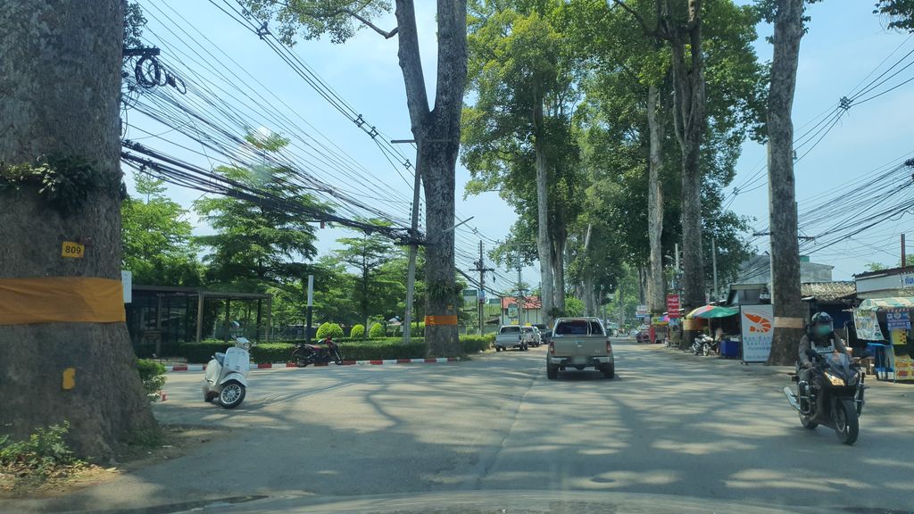 ภาพถนนตรงที่ ยางกาแฟ ตั้งอยู่ ถ่ายโดย jrcarlsen พ.ศ. 2564 (2021) · A street-level view of where ยางกาแฟ · Yangkafae stands, by jrcarlsen in 2564 (2021)