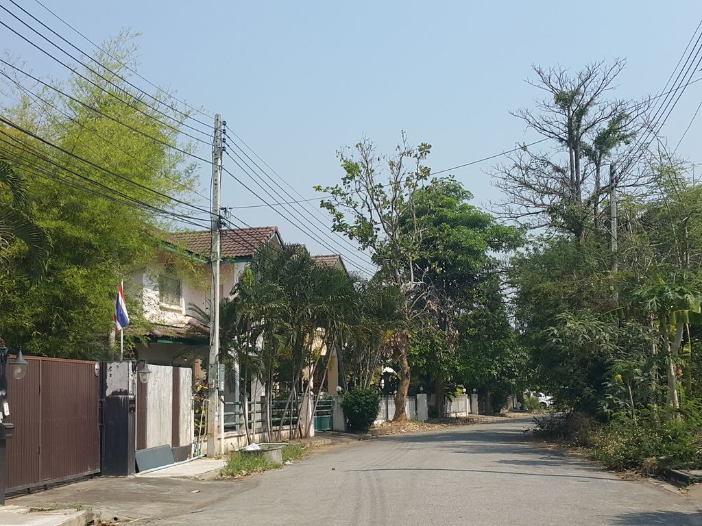 ภาพถนนตรงที่ PETZ ตั้งอยู่ ถ่ายโดย jrcarlsen พ.ศ. 2559 (2016) · A street-level view of where PETZ stands, by jrcarlsen in 2559 (2016)