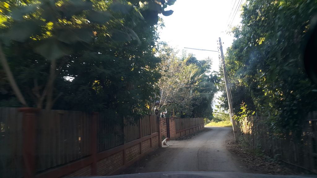 ภาพถนนตรงที่ ฮักมีแฮปปี้ฟาร์ม ตั้งอยู่ ถ่ายโดย jrcarlsen พ.ศ. 2561 (2018) · A street-level view of where ฮักมีแฮปปี้ฟาร์ม · Hakmi Happy Farm stands, by jrcarlsen in 2561 (2018)
