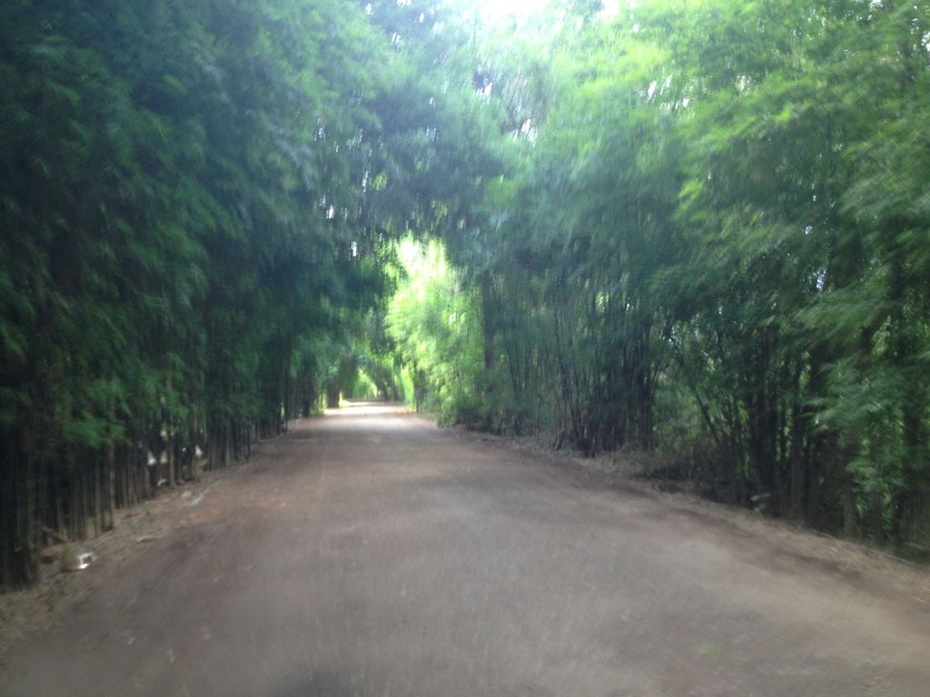 ภาพถนนตรงที่ บ่อตกปลาคุณโอ๋ บ้านศาลา ตั้งอยู่ ถ่ายโดย jimwatana พ.ศ. 2558 (2015) · A street-level view of where บ่อตกปลาคุณโอ๋ บ้านศาลา · Bo Tokpla Khun O Ban Sala stands, by jimwatana in 2558 (2015)