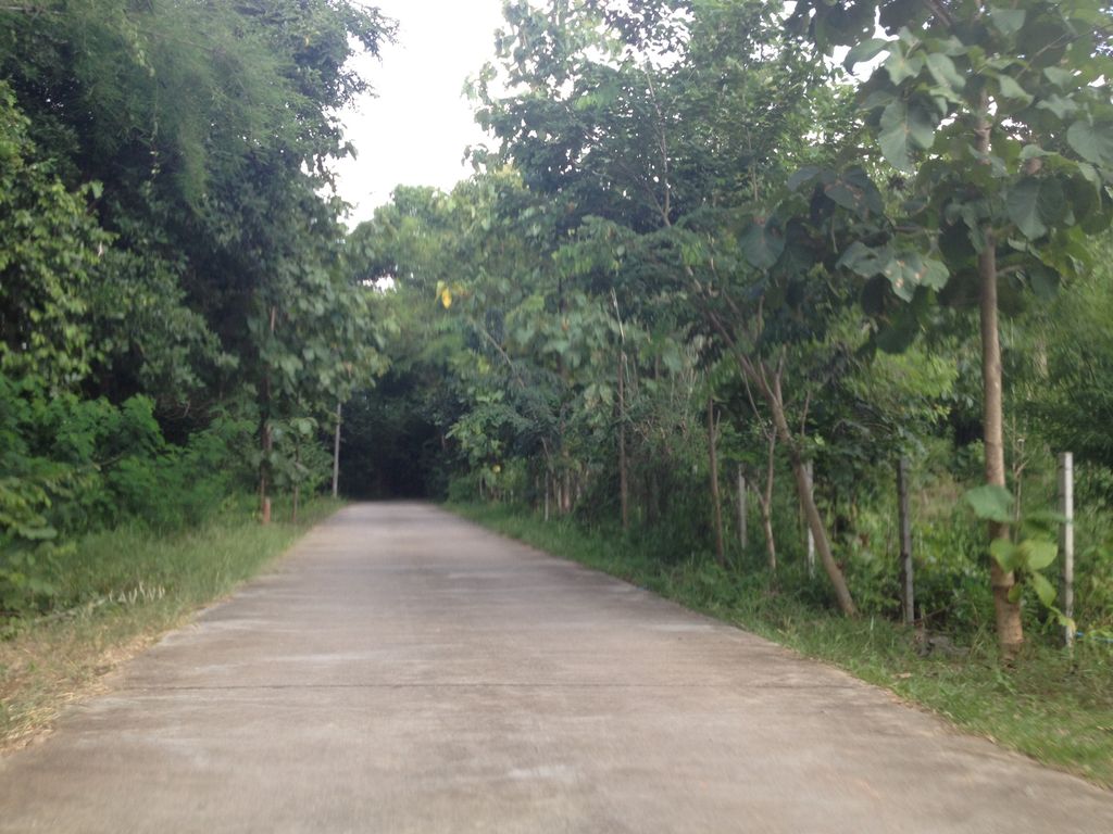 ภาพถนนตรงที่ บ้านสักลายมืออภิมหาเศรษฐีเชียงใหม่ ตั้งอยู่ ถ่ายโดย jimwatana พ.ศ. 2558 (2015) · A street-level view of where บ้านสักลายมืออภิมหาเศรษฐีเชียงใหม่ · Ban Saklaimue Aphi Mahasetthi Chiang Mai stands, by jimwatana in 2558 (2015)