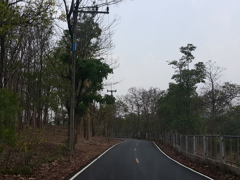ภาพถนนตรงที่ สถานีเพาะชำกล้าไม้จังหวัดเชียงใหม่ ตั้งอยู่ ถ่ายโดย jrcarlsen พ.ศ. 2559 (2016) · A street-level view of where สถานีเพาะชำกล้าไม้จังหวัดเชียงใหม่ · Sathani Pho Cham Kla Mai Changwat Chiang Mai stands, by jrcarlsen in 2559 (2016)