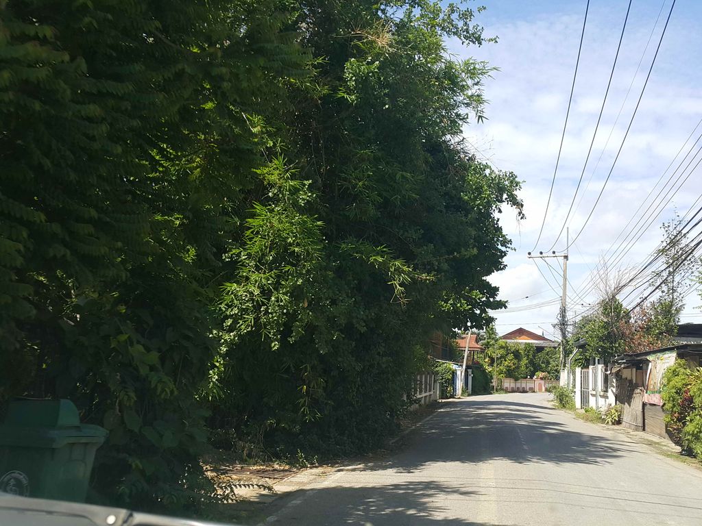 ภาพถนนตรงที่ Nanny Beauty ตั้งอยู่ ถ่ายโดย jrcarlsen พ.ศ. 2558 (2015) · A street-level view of where Nanny Beauty stands, by jrcarlsen in 2558 (2015)