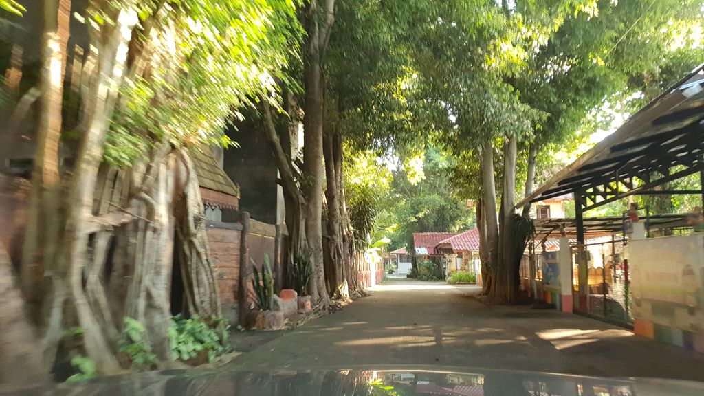 ภาพถนนตรงที่ โรงเรียนดอยสะเก็ดผดุงศาสนา ตั้งอยู่ ถ่ายโดย jrcarlsen พ.ศ. 2564 (2021) · A street-level view of where โรงเรียนดอยสะเก็ดผดุงศาสนา · Doi Saket Phadung Satna School stands, by jrcarlsen in 2564 (2021)