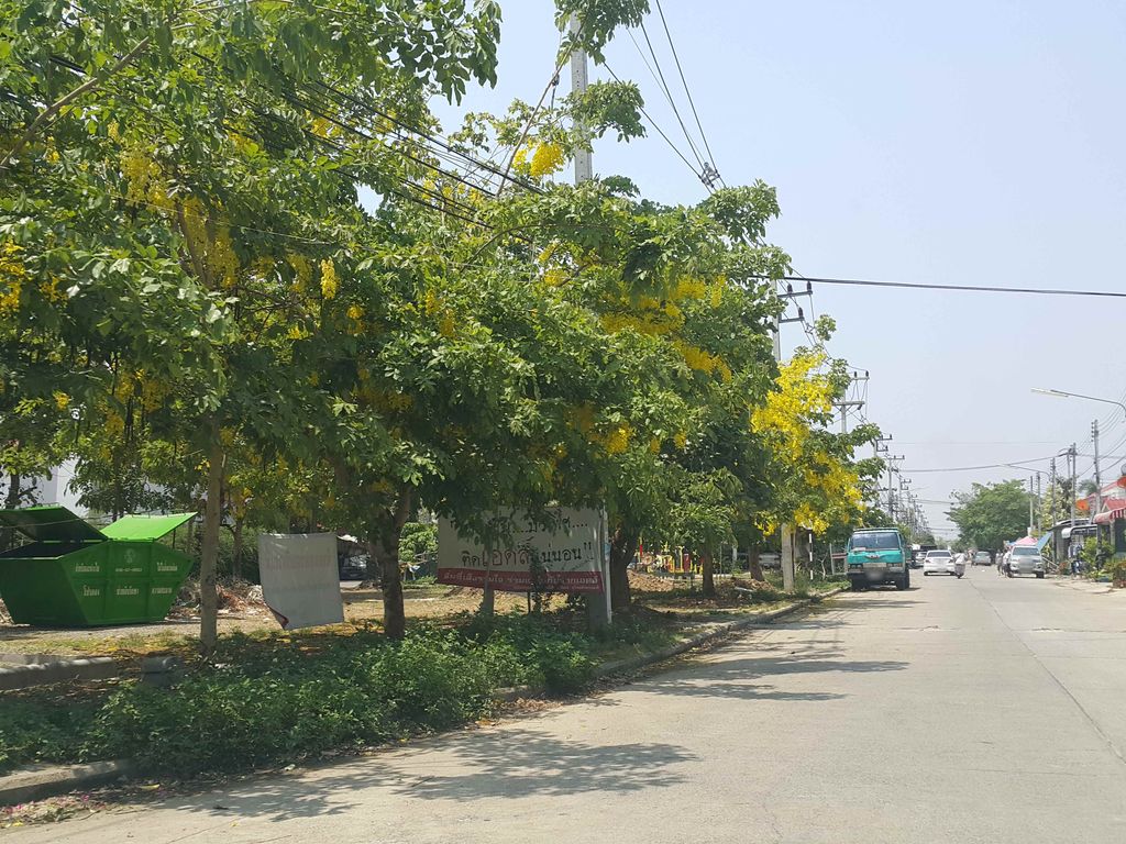 ภาพถนนตรงที่ รอนแรม อโลน ตั้งอยู่ ถ่ายโดย jrcarlsen พ.ศ. 2558 (2015) · A street-level view of where รอนแรม อโลน · Ronraem Alon stands, by jrcarlsen in 2558 (2015)