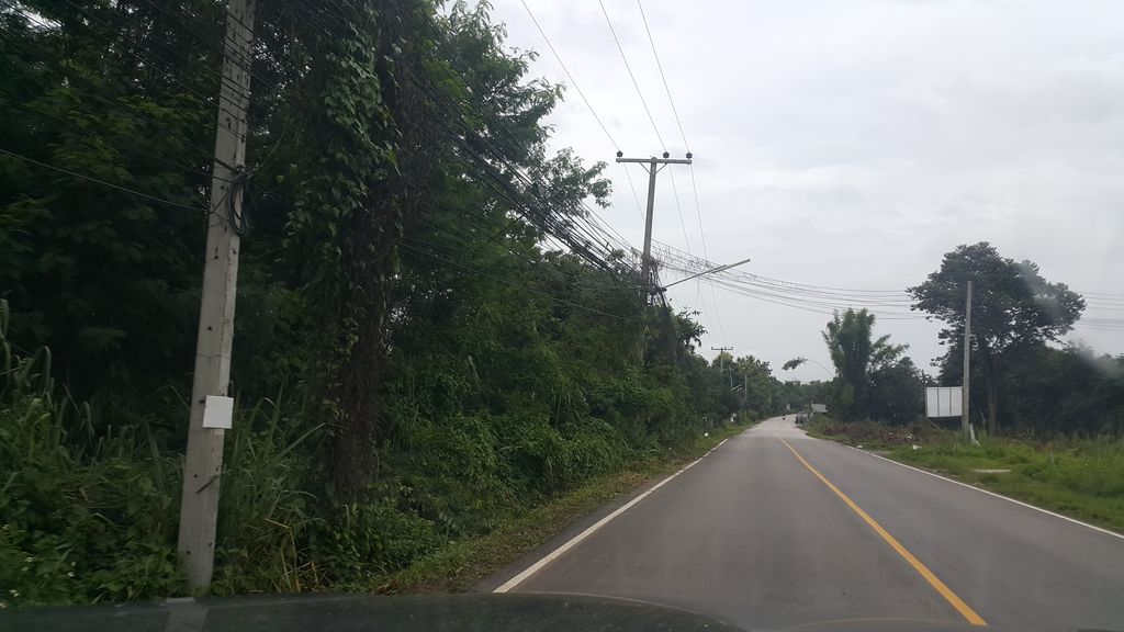 ภาพถนนตรงที่ วาฬชานม-หลัง ม.แม่โจ้ ตั้งอยู่ ถ่ายโดย jrcarlsen พ.ศ. 2561 (2018) · A street-level view of where วาฬชานม-หลัง ม.แม่โจ้ · Wanchanma-lang M.Mae Jo stands, by jrcarlsen in 2561 (2018)