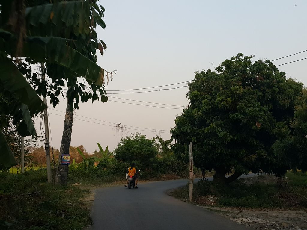 ภาพถนนตรงที่ ดอนแก้ววิลเลจ 15 ตั้งอยู่ ถ่ายโดย jrcarlsen พ.ศ. 2559 (2016) · A street-level view of where ดอนแก้ววิลเลจ 15 · Donkwae Village 15 stands, by jrcarlsen in 2559 (2016)