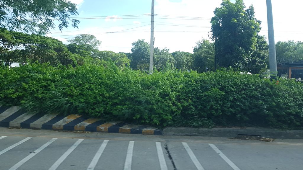 ภาพถนนตรงที่ เชียงใหม่ออฟโรด ตั้งอยู่ ถ่ายโดย rororo พ.ศ. 2562 (2019) · A street-level view of where เชียงใหม่ออฟโรด · Chiang Mai Op Rot stands, by rororo in 2562 (2019)