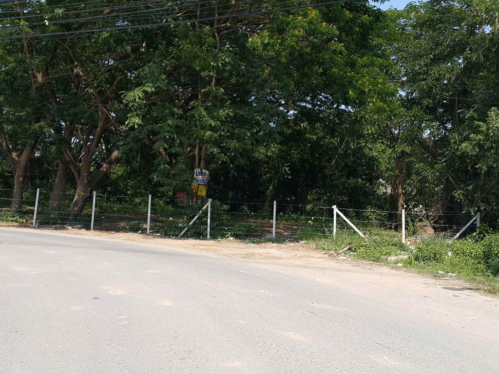 ภาพถนนตรงที่ ช่อมะเฟือง พานิช ตั้งอยู่ ถ่ายโดย jrcarlsen พ.ศ. 2558 (2015) · A street-level view of where ช่อมะเฟือง พานิช · Chomafueang Phanit stands, by jrcarlsen in 2558 (2015)