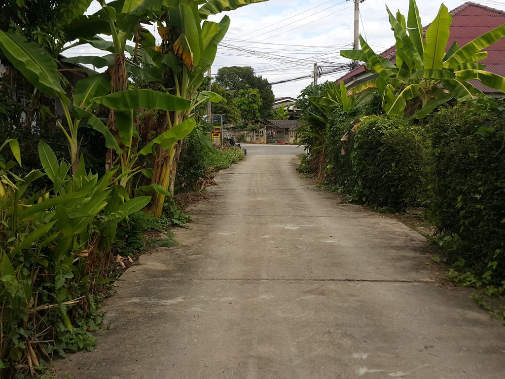 ภาพถนนตรงที่ ข้าวต้มโจ๊กหน้าอำเภอ ตั้งอยู่ ถ่ายโดย jrcarlsen พ.ศ. 2558 (2015) · A street-level view of where ข้าวต้มโจ๊กหน้าอำเภอ · Khaotom Chok Naamphoe stands, by jrcarlsen in 2558 (2015)
