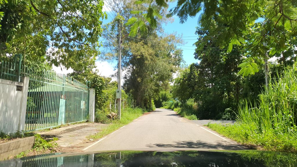 ภาพถนนตรงที่ สวนเห็ดชลาลัย ตั้งอยู่ ถ่ายโดย jrcarlsen พ.ศ. 2564 (2021) · A street-level view of where สวนเห็ดชลาลัย · Het Chalalai Garden stands, by jrcarlsen in 2564 (2021)