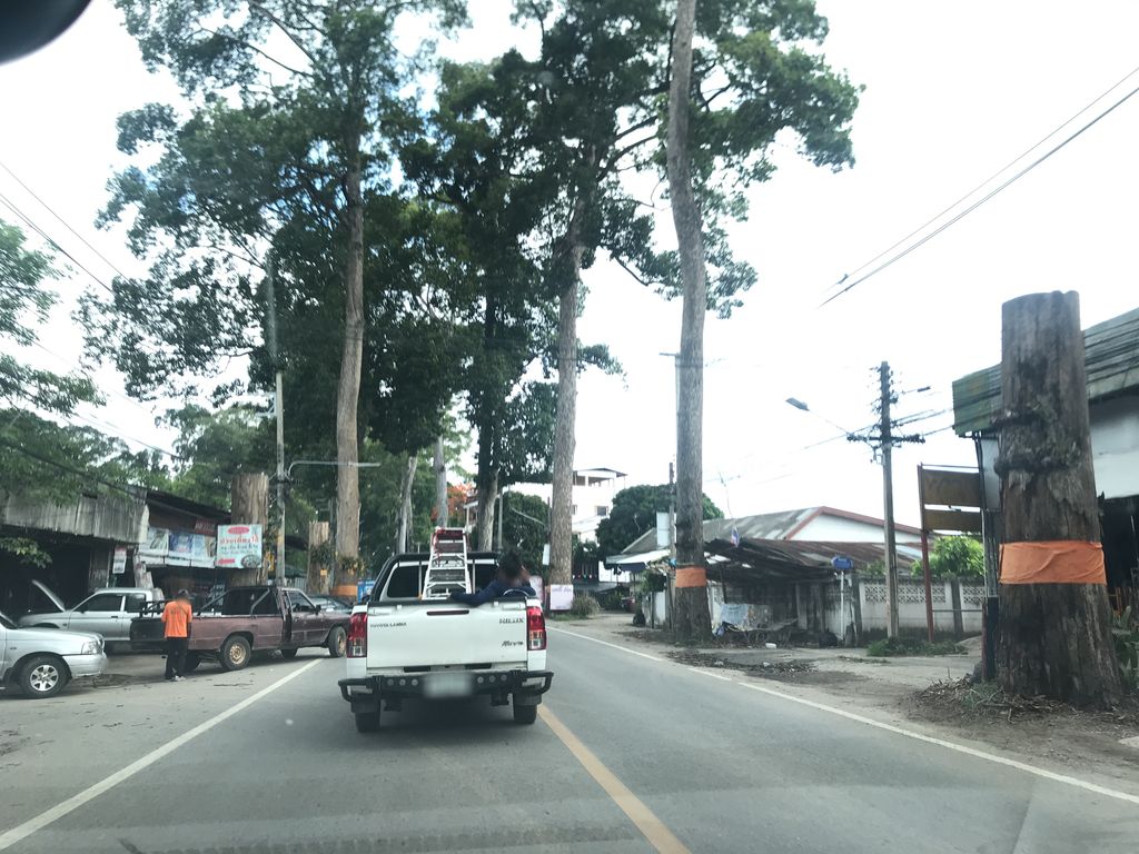 ภาพถนนตรงที่ หนองผึ้งสารภี ตั้งอยู่ ถ่ายโดย prasert พ.ศ. 2561 (2018) · A street-level view of where หนองผึ้งสารภี · Nong Phueng Saraphi stands, by prasert in 2561 (2018)