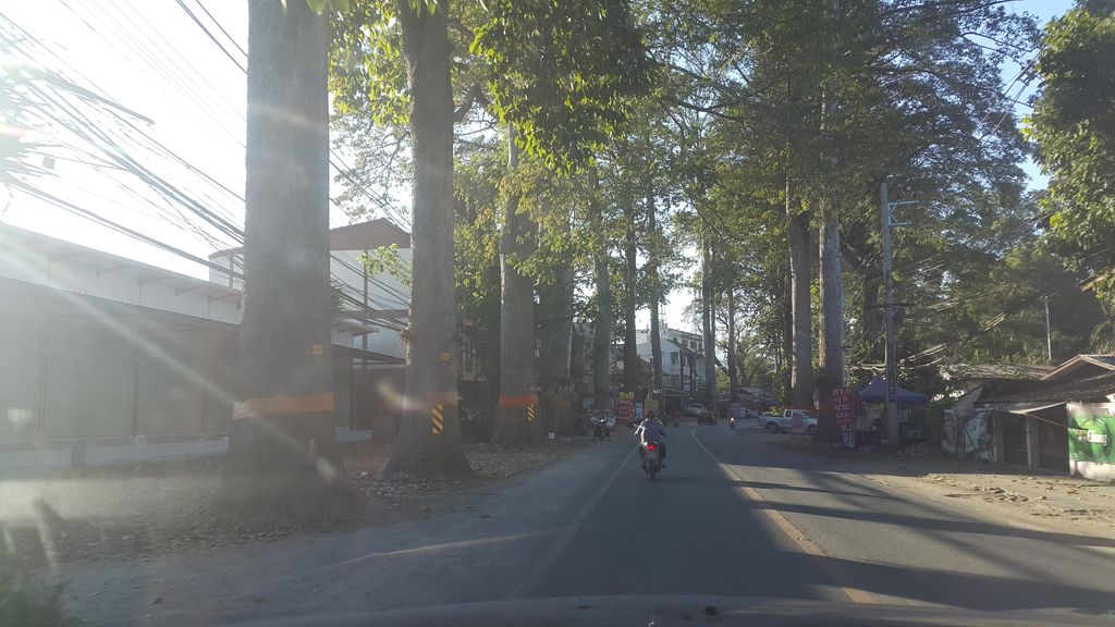 ภาพถนนตรงที่ เชยชมการ์เด้น ตั้งอยู่ ถ่ายโดย jrcarlsen พ.ศ. 2562 (2019) · A street-level view of where เชยชมการ์เด้น · Choeichom Garden stands, by jrcarlsen in 2562 (2019)