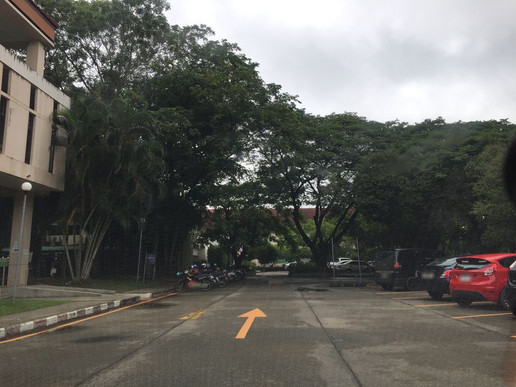 ภาพถนนตรงที่ Chiang Mai Graduate Consultancy ตั้งอยู่ ถ่ายโดย kyoko พ.ศ. 2561 (2018) · A street-level view of where Chiang Mai Graduate Consultancy stands, by kyoko in 2561 (2018)