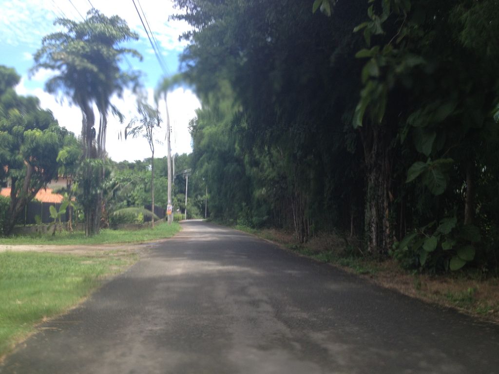 ภาพถนนตรงที่ สวนมะนาวลุงภู่ ตั้งอยู่ ถ่ายโดย jimwatana พ.ศ. 2558 (2015) · A street-level view of where สวนมะนาวลุงภู่ · Manao Lung Phu Garden stands, by jimwatana in 2558 (2015)