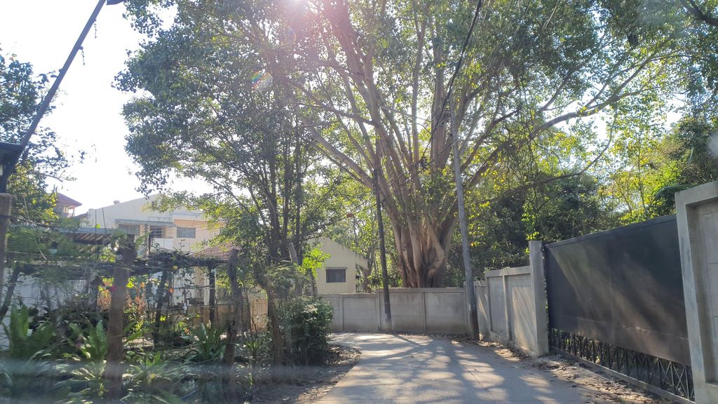 ภาพถนนตรงที่ Grove.Cnx ตั้งอยู่ ถ่ายโดย jrcarlsen พ.ศ. 2565 (2022) · A street-level view of where Grove.Cnx stands, by jrcarlsen in 2565 (2022)