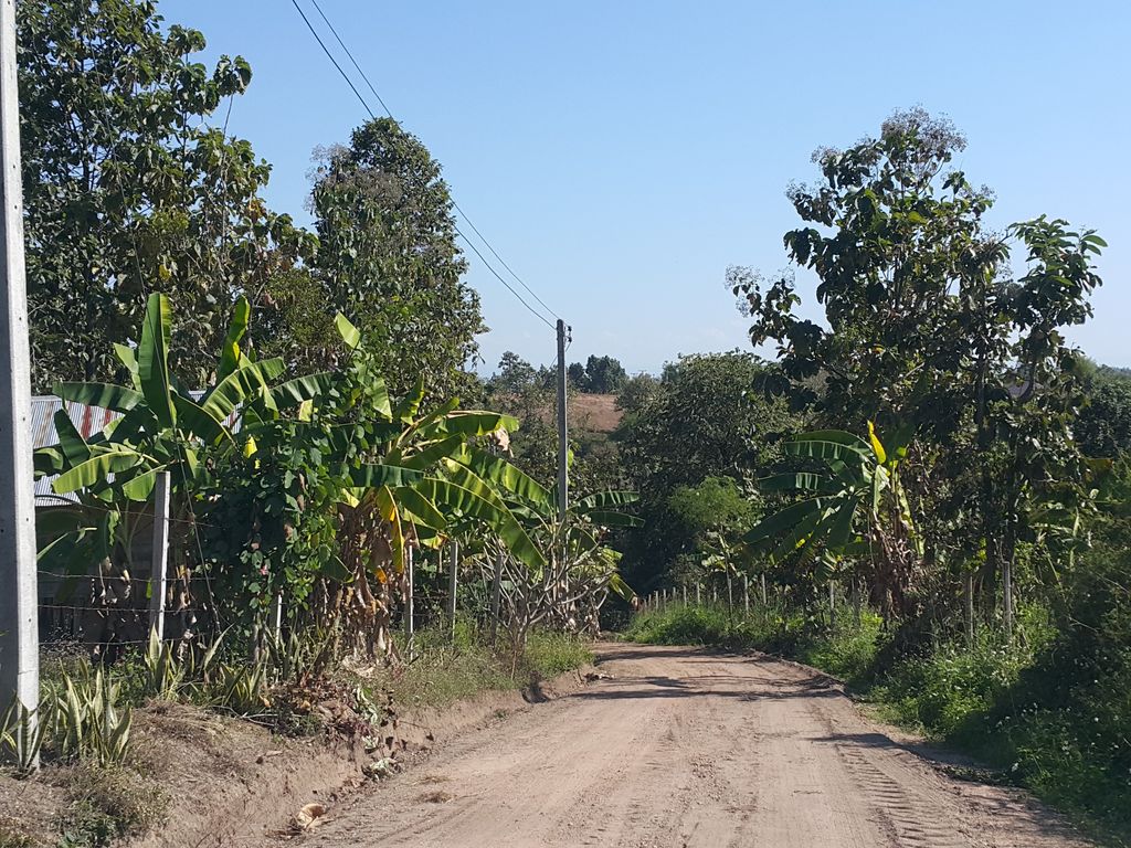 ภาพถนนตรงที่ Ban bon doi Maerim ตั้งอยู่ ถ่ายโดย jrcarlsen พ.ศ. 2558 (2015) · A street-level view of where Ban bon doi Maerim stands, by jrcarlsen in 2558 (2015)