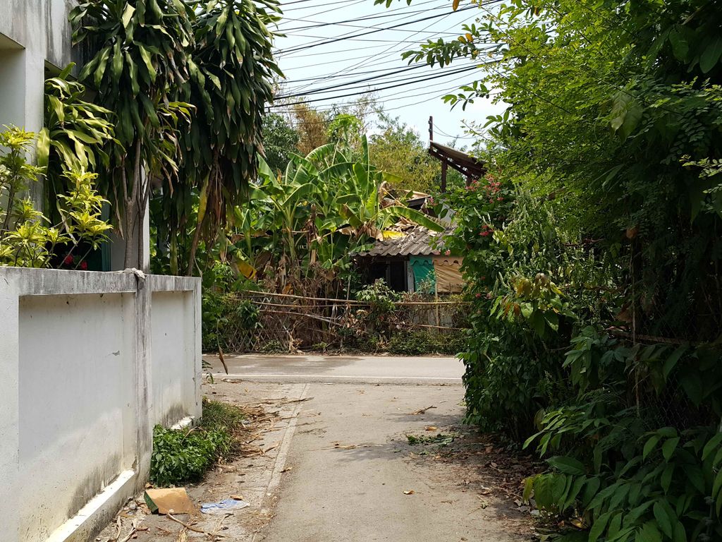 ภาพถนนตรงที่ ห้องยา โรงพยาบาลสารภี ตั้งอยู่ ถ่ายโดย jrcarlsen พ.ศ. 2558 (2015) · A street-level view of where ห้องยา โรงพยาบาลสารภี · Hongya Rongphayaban Saraphi stands, by jrcarlsen in 2558 (2015)
