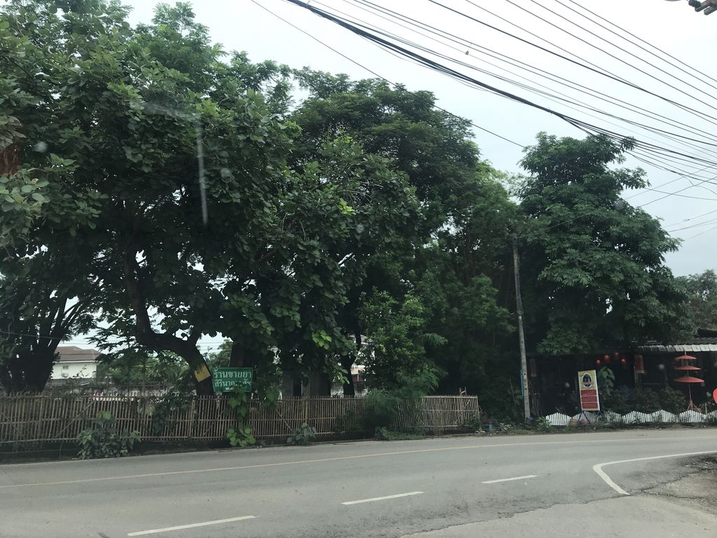 ภาพถนนตรงที่ ขี้เหล้าปลาเผาbyเนม ตั้งอยู่ ถ่ายโดย prasert พ.ศ. 2561 (2018) · A street-level view of where ขี้เหล้าปลาเผาbyเนม · Khi Lao Plaphaobynem stands, by prasert in 2561 (2018)