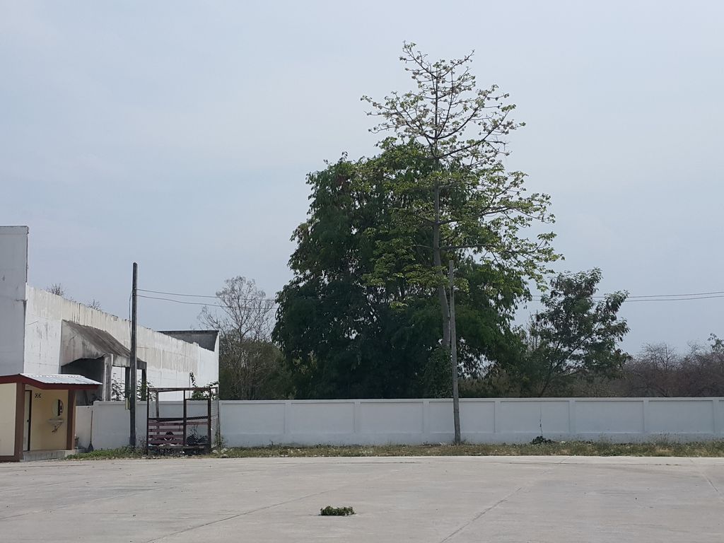 ภาพถนนตรงที่ ก๋วยเตี๋ยวเรือสันกลาง ตั้งอยู่ ถ่ายโดย jrcarlsen พ.ศ. 2559 (2016) · A street-level view of where ก๋วยเตี๋ยวเรือสันกลาง · Kuai Tiaoruea San Klang stands, by jrcarlsen in 2559 (2016)