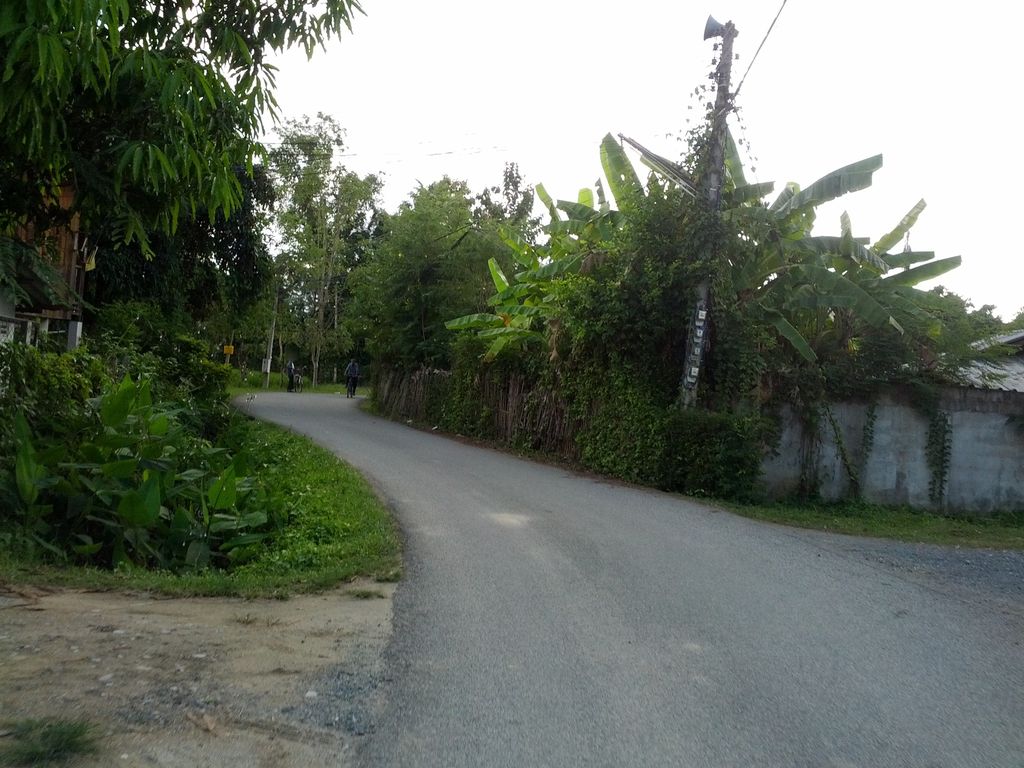 ภาพถนนตรงที่ ก๋วยเตี๋ยวน้องมุก ตั้งอยู่ ถ่ายโดย jrcarlsen พ.ศ. 2557 (2014) · A street-level view of where ก๋วยเตี๋ยวน้องมุก · Kuaitiao Nong Muk stands, by jrcarlsen in 2557 (2014)