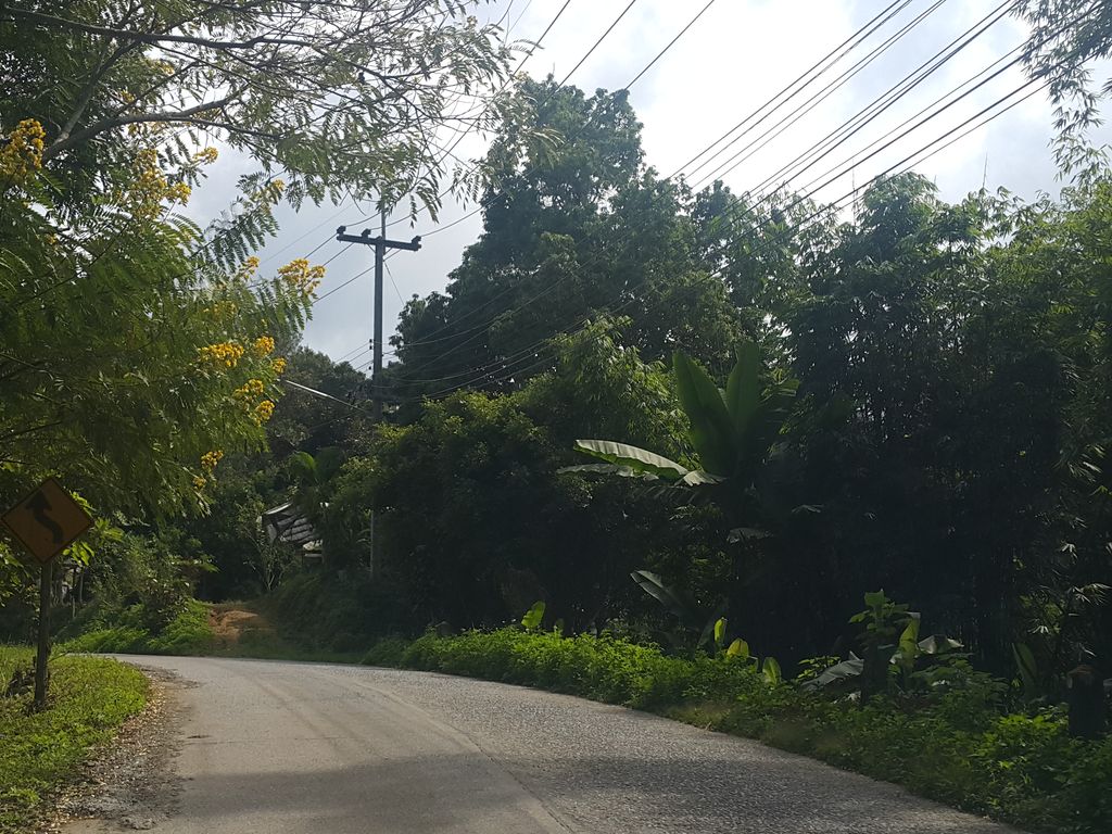 ภาพถนนตรงที่ Arbpa Homestay&Cafe ตั้งอยู่ ถ่ายโดย jrcarlsen พ.ศ. 2558 (2015) · A street-level view of where Arbpa Homestay&Cafe stands, by jrcarlsen in 2558 (2015)