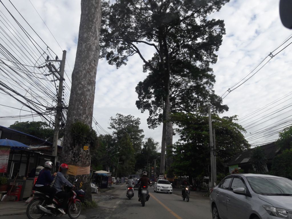 ภาพถนนตรงที่ เอ้อร์กาแฟ ตั้งอยู่ ถ่ายโดย pasuthun พ.ศ. 2561 (2018) · A street-level view of where เอ้อร์กาแฟ · Oekafae stands, by pasuthun in 2561 (2018)