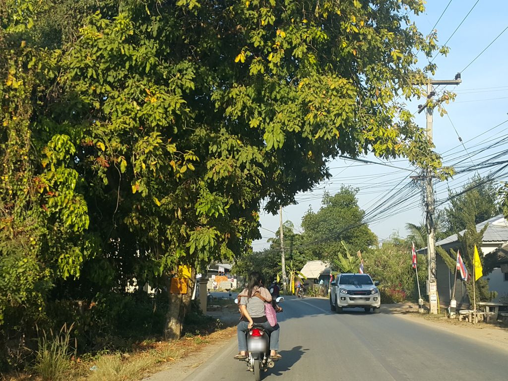 ภาพถนนตรงที่ ขายส่งDDD Sunflower seed ตั้งอยู่ ถ่ายโดย jrcarlsen พ.ศ. 2559 (2016) · A street-level view of where ขายส่งDDD Sunflower seed stands, by jrcarlsen in 2559 (2016)