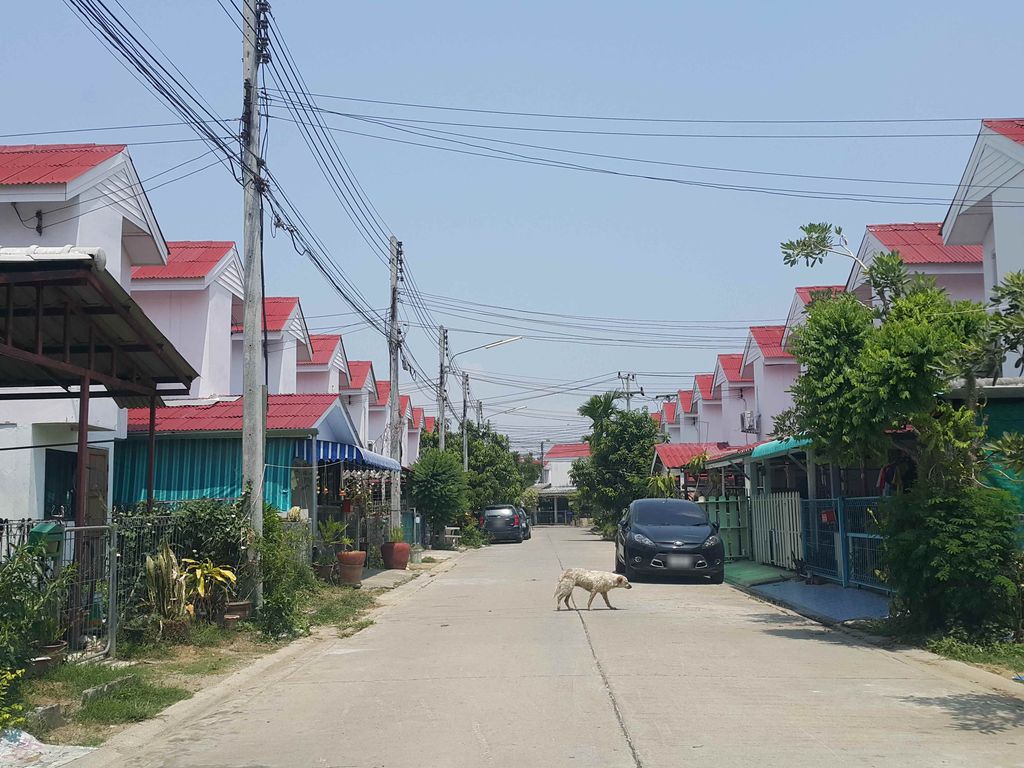 ภาพถนนตรงที่ ศูนย์พัฒนาเด็กเล็กบ้านหนองแสะ ตั้งอยู่ ถ่ายโดย jrcarlsen พ.ศ. 2558 (2015) · A street-level view of where ศูนย์พัฒนาเด็กเล็กบ้านหนองแสะ · Ban Nong Sae Childcare centre stands, by jrcarlsen in 2558 (2015)