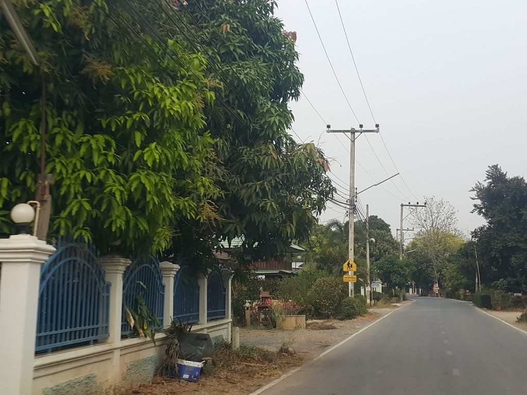 ภาพถนนตรงที่ หนองไหว ซิตี้ ตั้งอยู่ ถ่ายโดย jrcarlsen พ.ศ. 2559 (2016) · A street-level view of where หนองไหว ซิตี้ · Nong Wai City stands, by jrcarlsen in 2559 (2016)