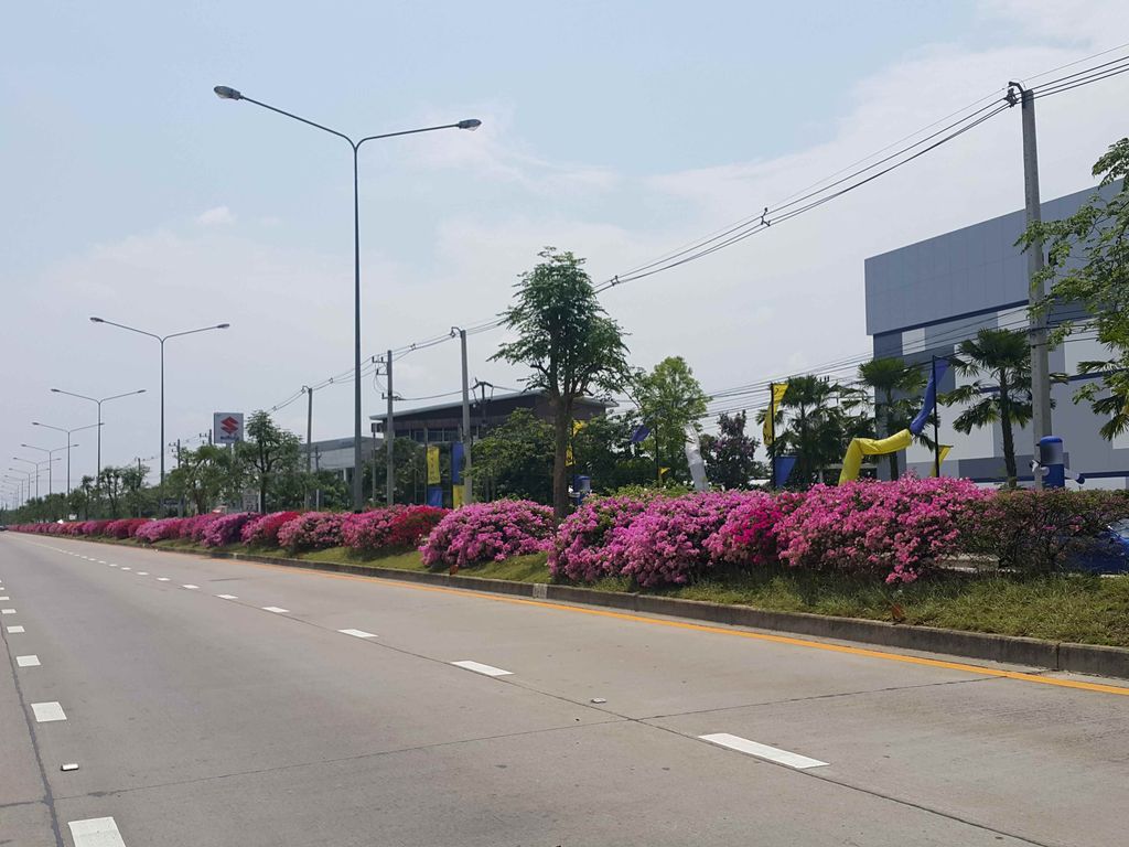 ภาพถนนตรงที่ Kasintorn Saint James Chiang Mai School ตั้งอยู่ ถ่ายโดย jrcarlsen พ.ศ. 2558 (2015) · A street-level view of where Kasintorn Saint James Chiang Mai School stands, by jrcarlsen in 2558 (2015)