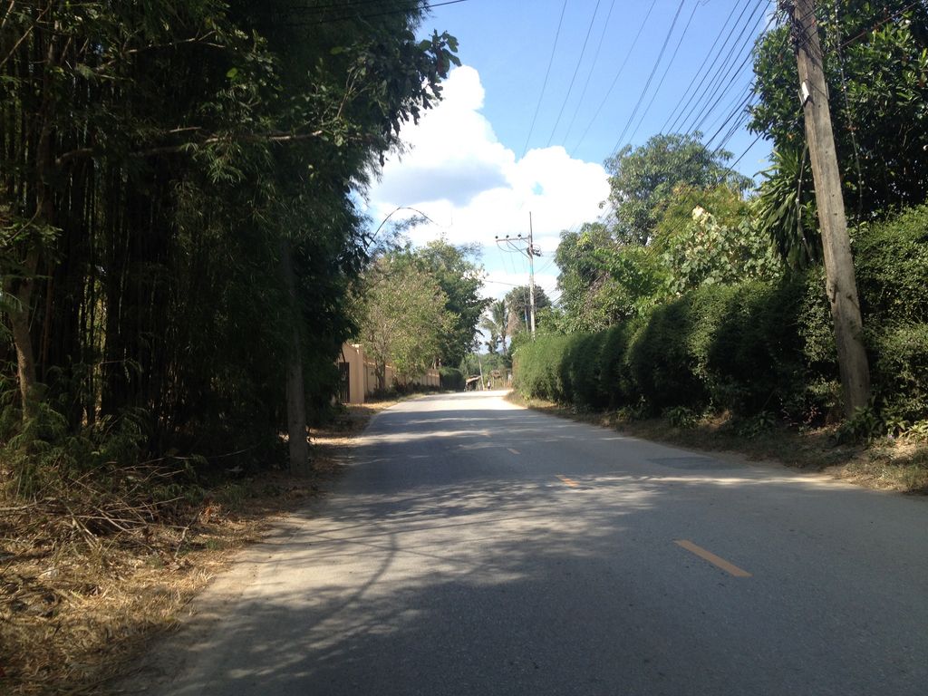 ภาพถนนตรงที่ บุหงา Bunga Cafe And Resort หางดง ตั้งอยู่ ถ่ายโดย jimwatana พ.ศ. 2558 (2015) · A street-level view of where บุหงา Bunga Cafe And Resort หางดง stands, by jimwatana in 2558 (2015)