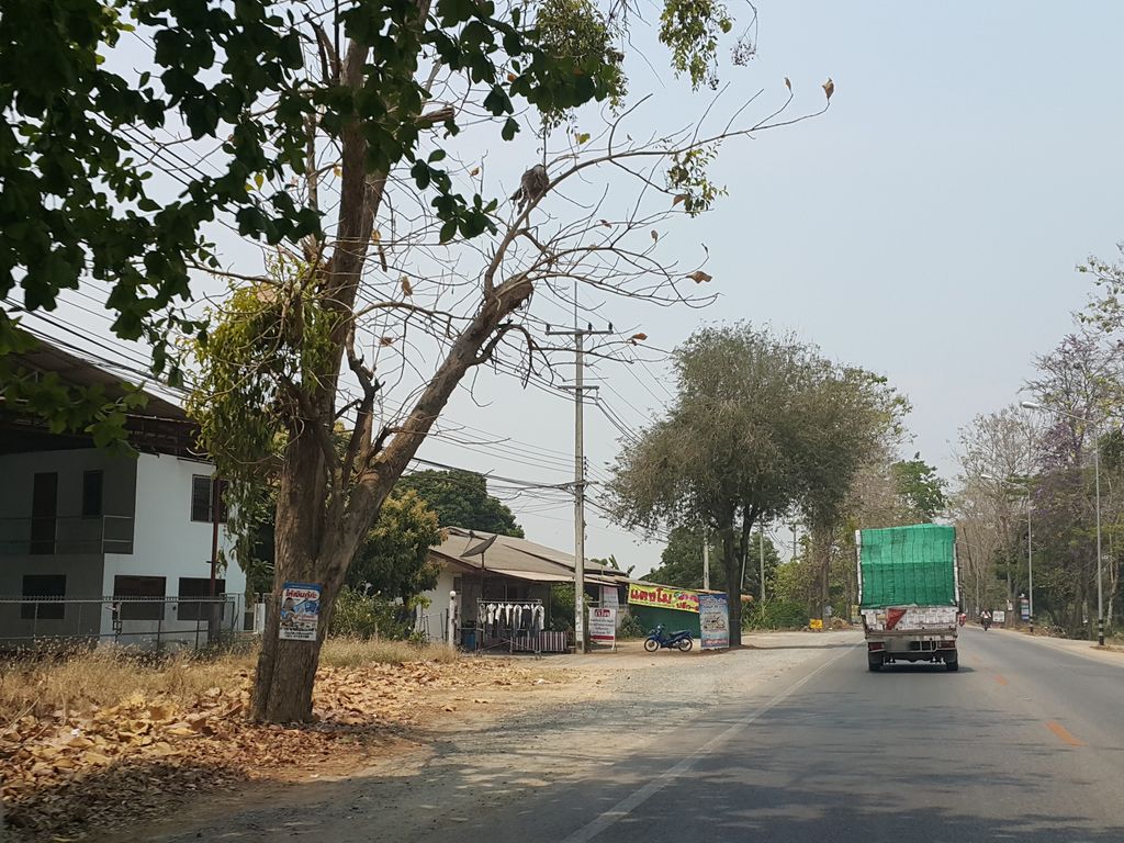 ภาพถนนตรงที่ ร้านพัตราอิเล็กทริก ตั้งอยู่ ถ่ายโดย jrcarlsen พ.ศ. 2559 (2016) · A street-level view of where ร้านพัตราอิเล็กทริก · Ran Phatrai Lek Sik stands, by jrcarlsen in 2559 (2016)