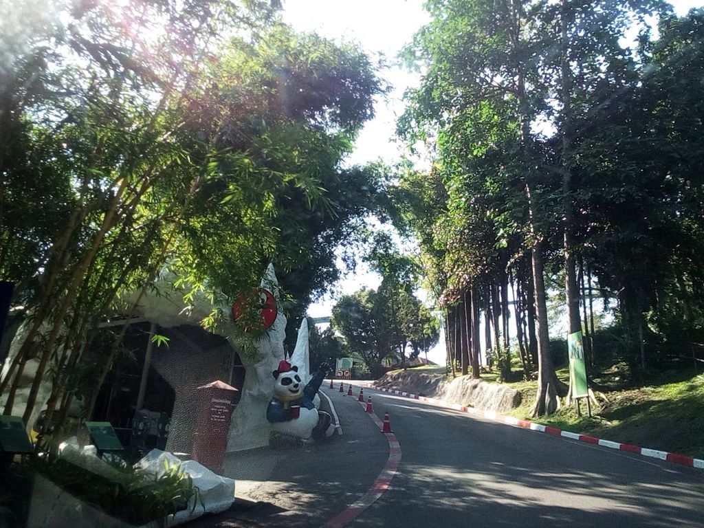 ภาพถนนตรงที่ Chiangmai Zoo Snow Dome ตั้งอยู่ ถ่ายโดย kyoko พ.ศ. 2561 (2018) · A street-level view of where Chiangmai Zoo Snow Dome stands, by kyoko in 2561 (2018)