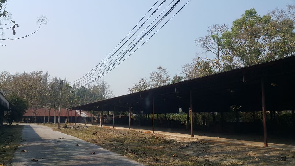 ภาพถนนตรงที่ บ่อตกปลาAlohaซอย2ต้นเปา ตั้งอยู่ ถ่ายโดย jrcarlsen พ.ศ. 2562 (2019) · A street-level view of where บ่อตกปลาAlohaซอย2ต้นเปา stands, by jrcarlsen in 2562 (2019)
