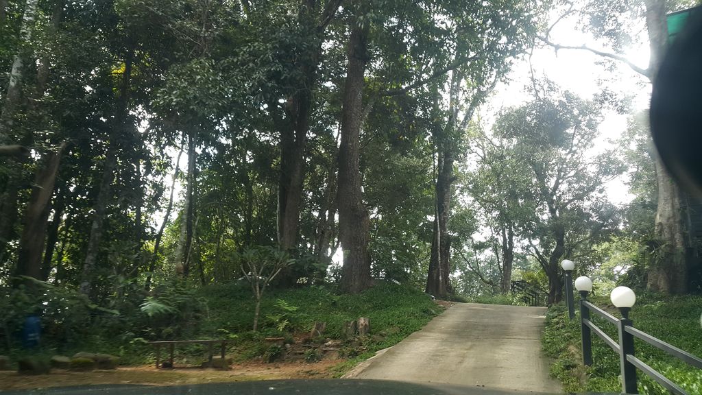 ภาพถนนตรงที่ Evergreen Hill Chiangmai ตั้งอยู่ ถ่ายโดย jrcarlsen พ.ศ. 2561 (2018) · A street-level view of where Evergreen Hill Chiangmai stands, by jrcarlsen in 2561 (2018)