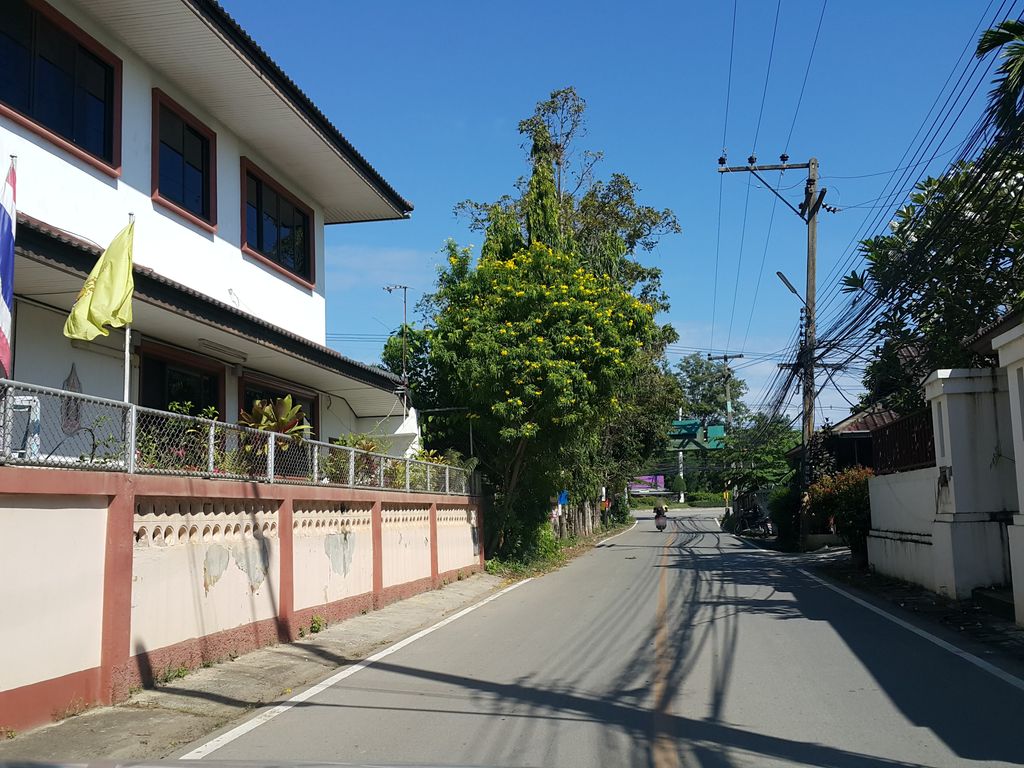 ภาพถนนตรงที่ สันพระเนตร การย่าง ตั้งอยู่ ถ่ายโดย jrcarlsen พ.ศ. 2558 (2015) · A street-level view of where สันพระเนตร การย่าง · San Phra Net Kanyang stands, by jrcarlsen in 2558 (2015)