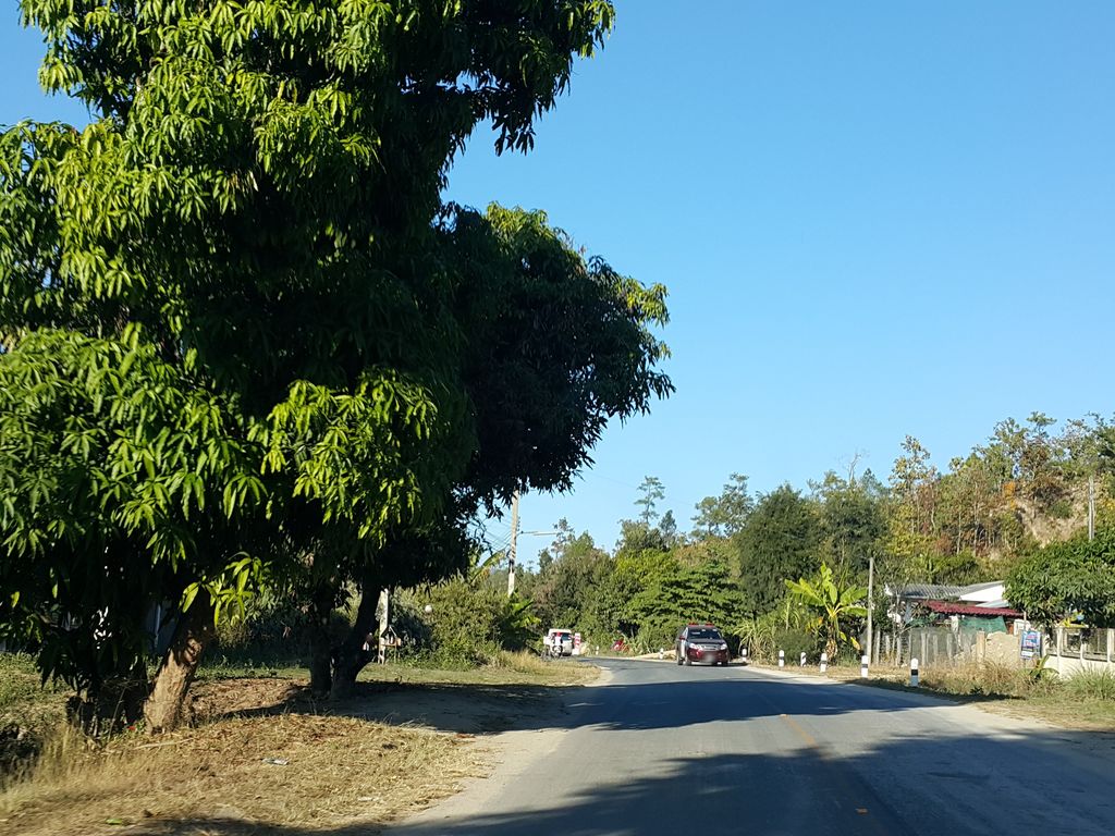 ภาพถนนตรงที่ คุ้มเวียงแหงรีสอร์ท ตั้งอยู่ ถ่ายโดย jrcarlsen พ.ศ. 2558 (2015) · A street-level view of where คุ้มเวียงแหงรีสอร์ท · Khum Wiang Haeng Resort stands, by jrcarlsen in 2558 (2015)