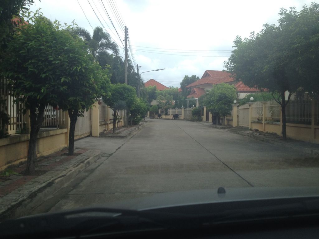 ภาพถนนตรงที่ พาดาผ้าม่าน สาขาหางดง ตั้งอยู่ ถ่ายโดย jimwatana พ.ศ. 2558 (2015) · A street-level view of where พาดาผ้าม่าน สาขาหางดง · Phadaphaman Sakha Hang Dong stands, by jimwatana in 2558 (2015)
