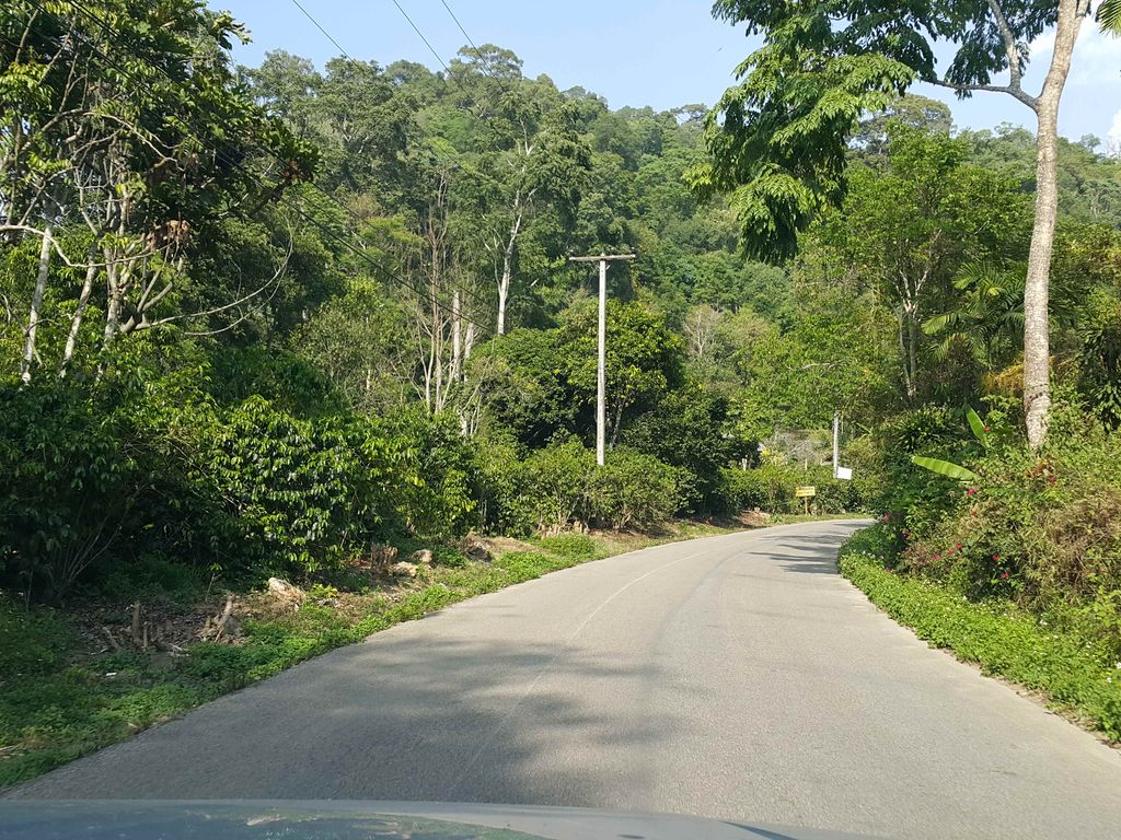 ภาพถนนตรงที่ Voraman Hut ตั้งอยู่ ถ่ายโดย jrcarlsen พ.ศ. 2558 (2015) · A street-level view of where Voraman Hut stands, by jrcarlsen in 2558 (2015)