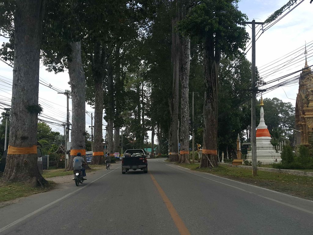 ภาพถนนตรงที่ เชียงใหม่ประตูม้วน ตั้งอยู่ ถ่ายโดย jrcarlsen พ.ศ. 2558 (2015) · A street-level view of where เชียงใหม่ประตูม้วน · Chiang Mai Pratu Muan stands, by jrcarlsen in 2558 (2015)
