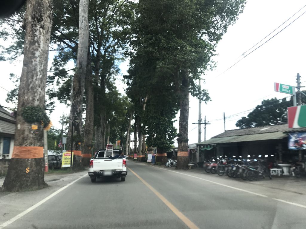 ภาพถนนตรงที่ Better Pet Care ตั้งอยู่ ถ่ายโดย prasert พ.ศ. 2561 (2018) · A street-level view of where Better Pet Care stands, by prasert in 2561 (2018)
