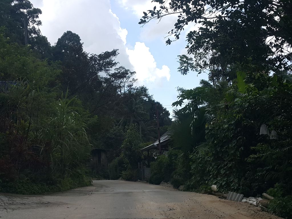 ภาพถนนตรงที่ บ้านระเบียงดอยโฮมสเตย์ เชียงใหม่ ตั้งอยู่ ถ่ายโดย jrcarlsen พ.ศ. 2558 (2015) · A street-level view of where บ้านระเบียงดอยโฮมสเตย์ เชียงใหม่ · Ban Rabiang Doi Homestay Chiang Mai stands, by jrcarlsen in 2558 (2015)