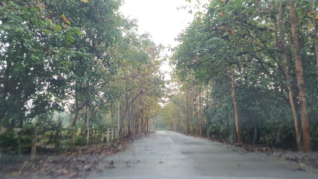 ภาพถนนตรงที่ เงินติดล้อ สาขาตลาดต้นพยอม ตั้งอยู่ ถ่ายโดย jrcarlsen พ.ศ. 2565 (2022) · A street-level view of where เงินติดล้อ สาขาตลาดต้นพยอม · Ngoen Tit Lo Sakha Talat Ton Pho Om stands, by jrcarlsen in 2565 (2022)